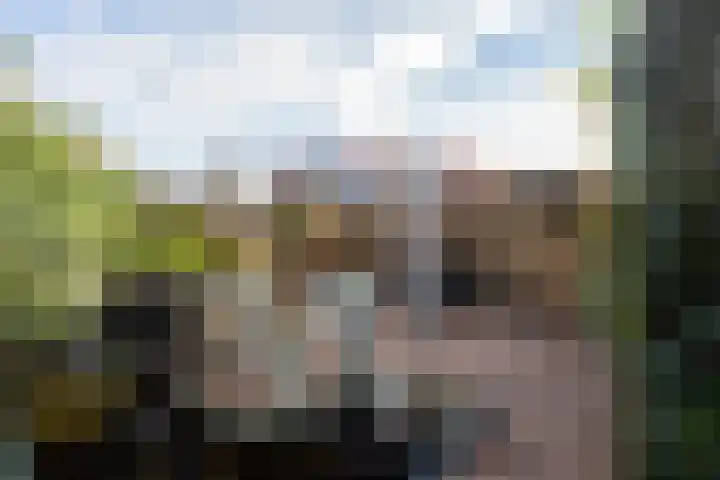 Julianasingel 7 A Vlaardingen thumbnail 25