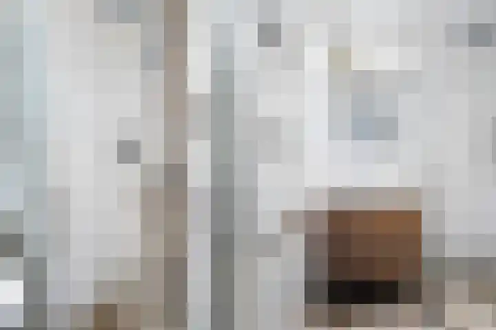 Julianasingel 7 A Vlaardingen thumbnail 33