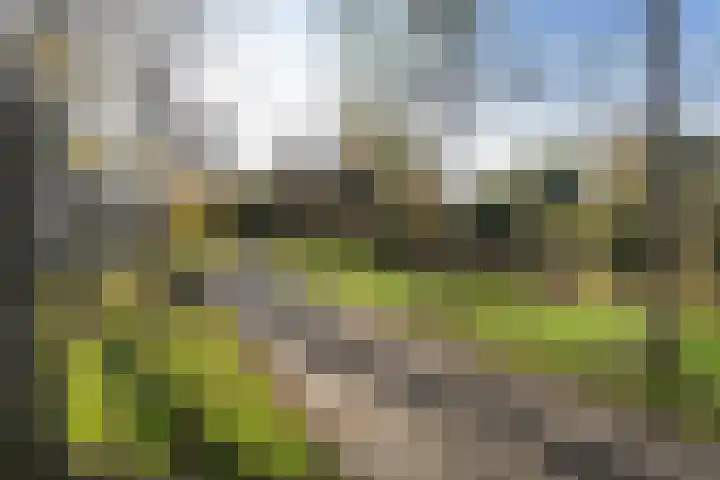 Julianasingel 7 A Vlaardingen thumbnail 34