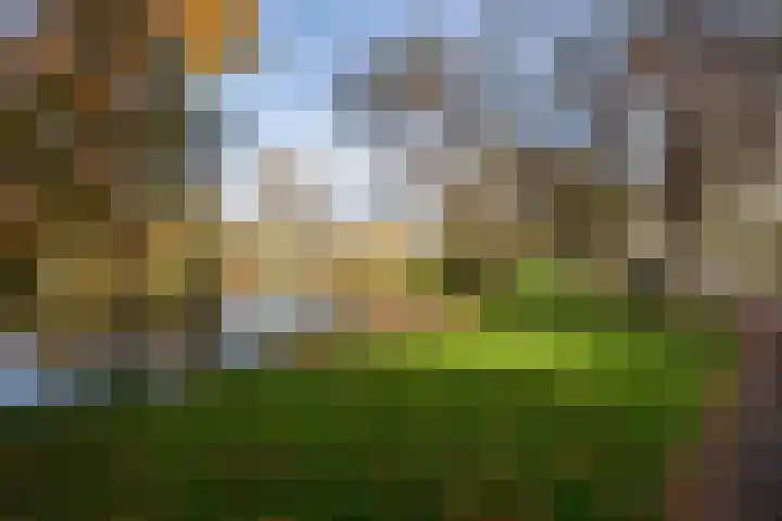 Julianasingel 7 A Vlaardingen thumbnail 37