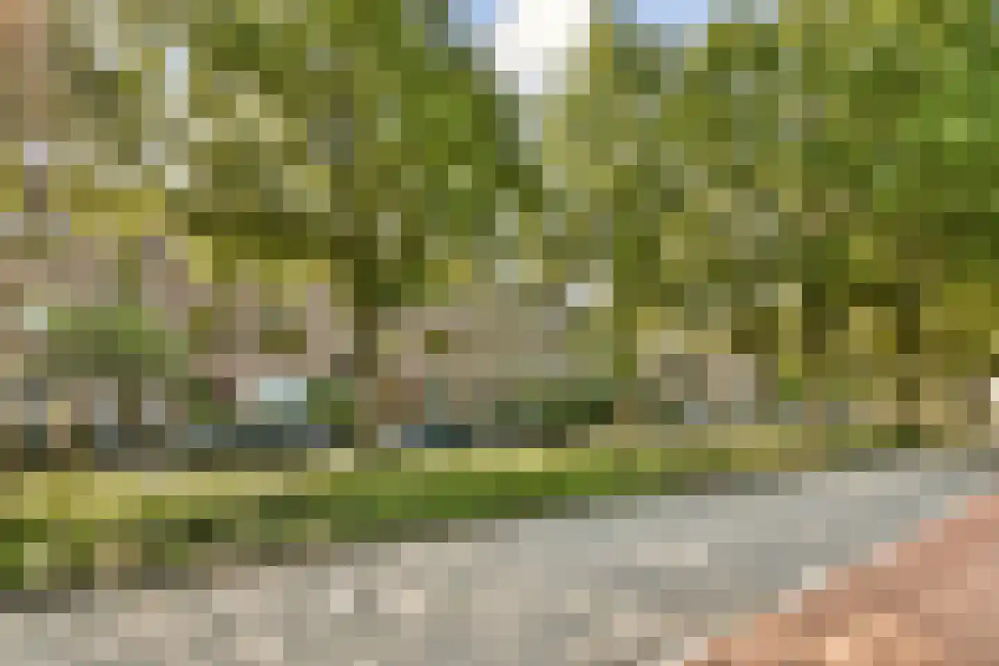 Julianasingel 9 B Vlaardingen thumbnail 17