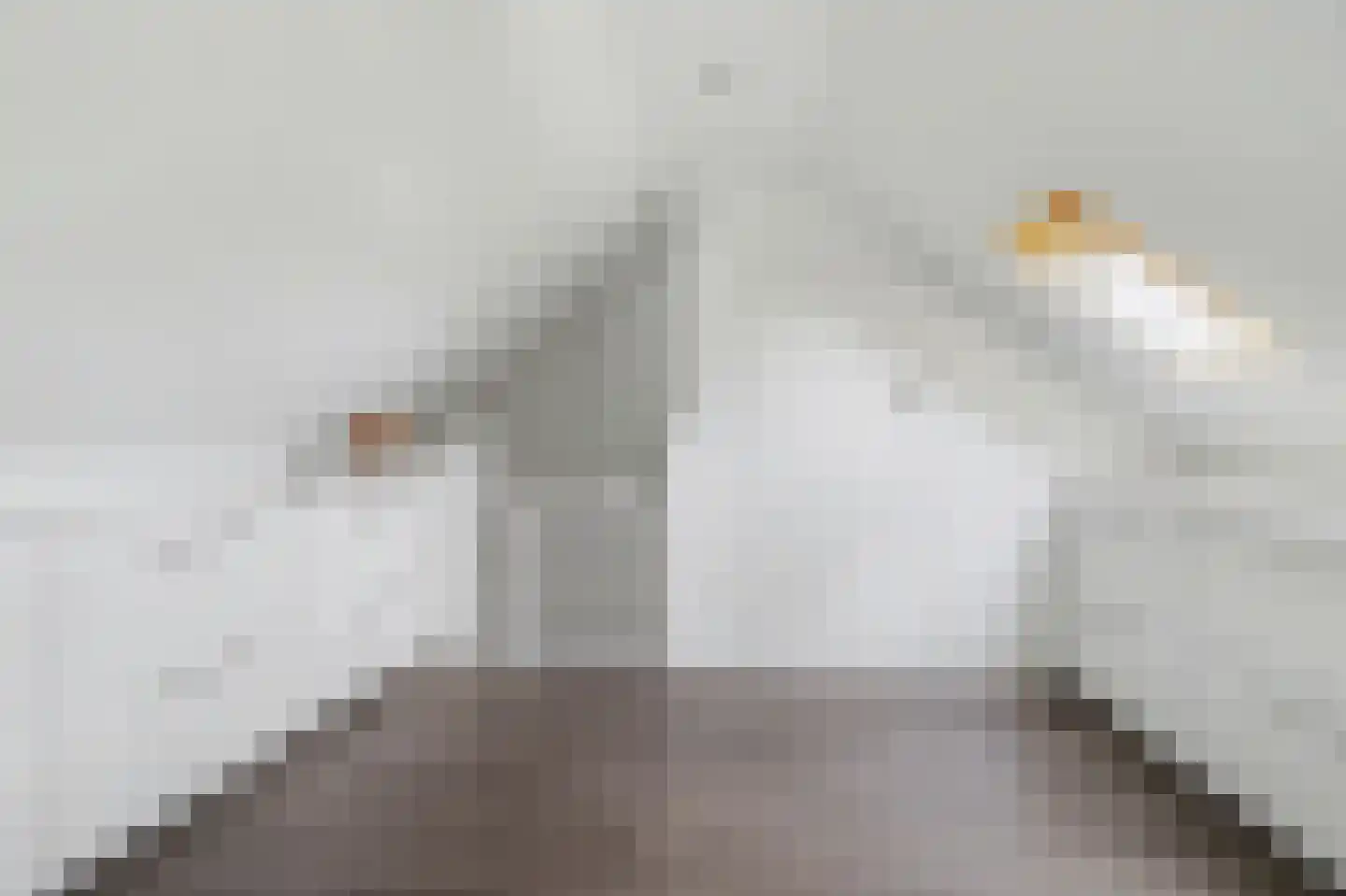 Julianastraat 1 A Kaatsheuvel thumbnail 22