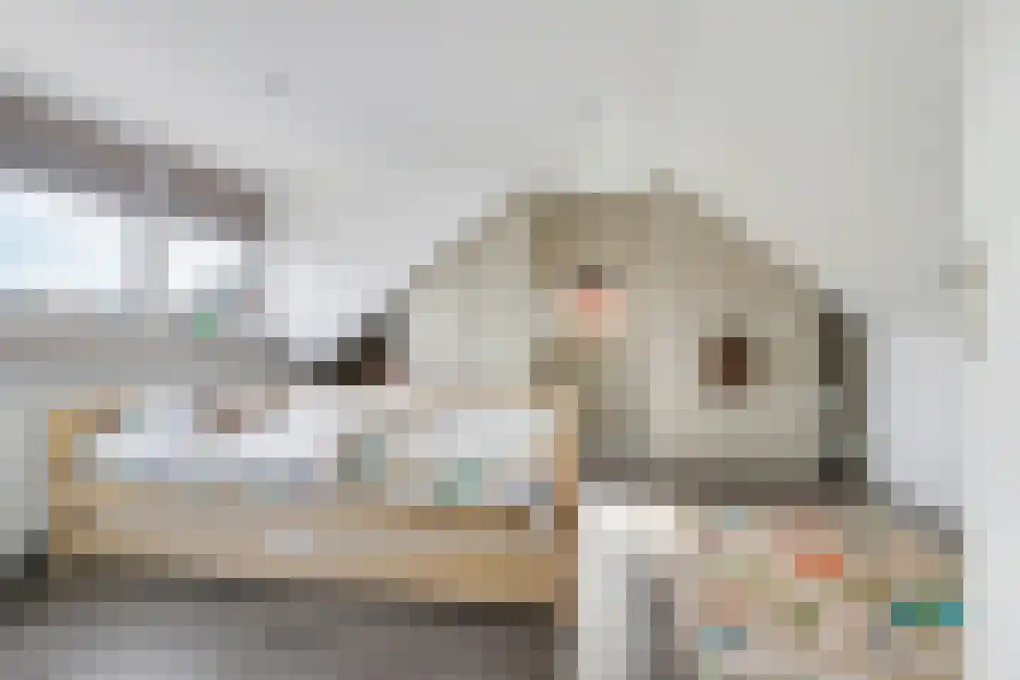 Julianastraat 1 A Kaatsheuvel thumbnail 4