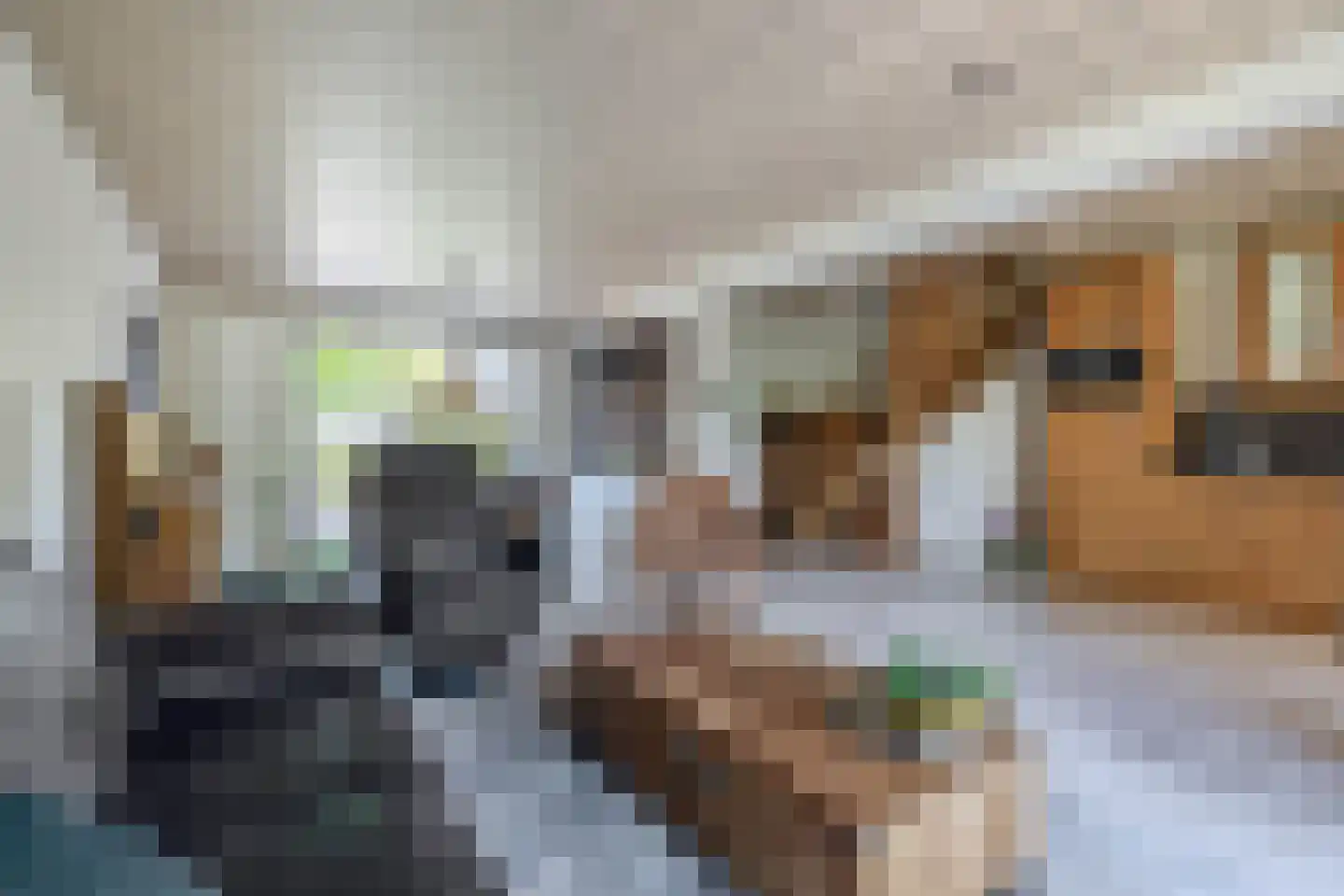 Julianastraat 1 a Langerak thumbnail 13