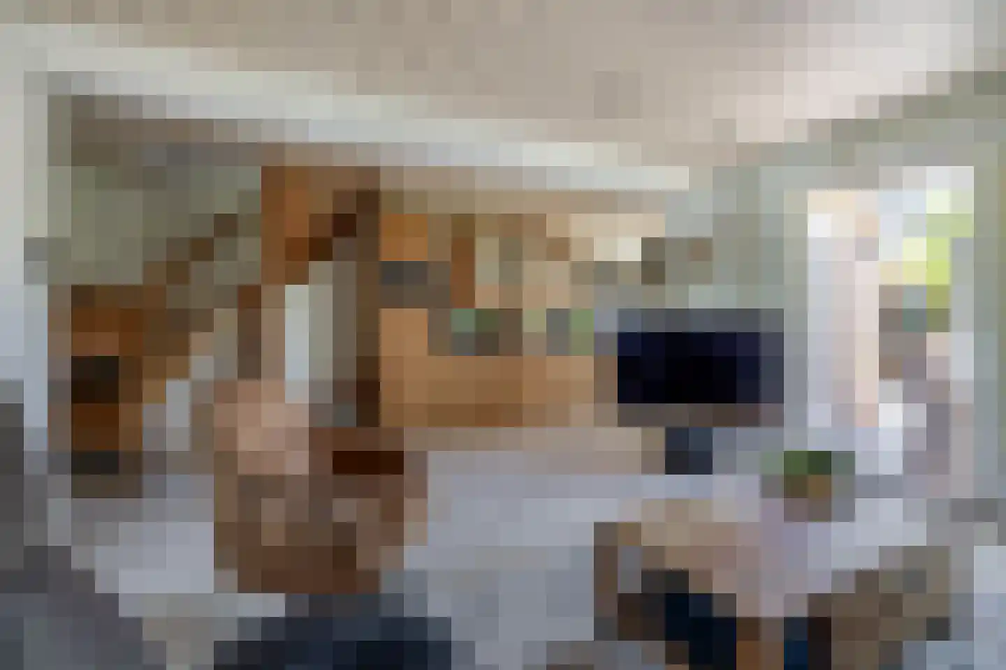 Julianastraat 1 a Langerak thumbnail 15