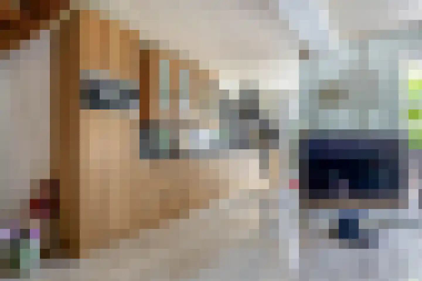 Julianastraat 1 a Langerak thumbnail 17