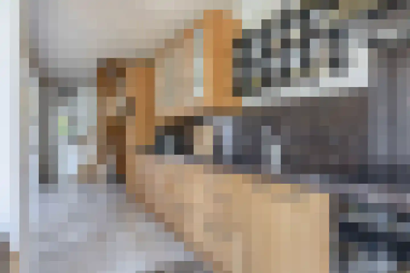 Julianastraat 1 a Langerak thumbnail 18