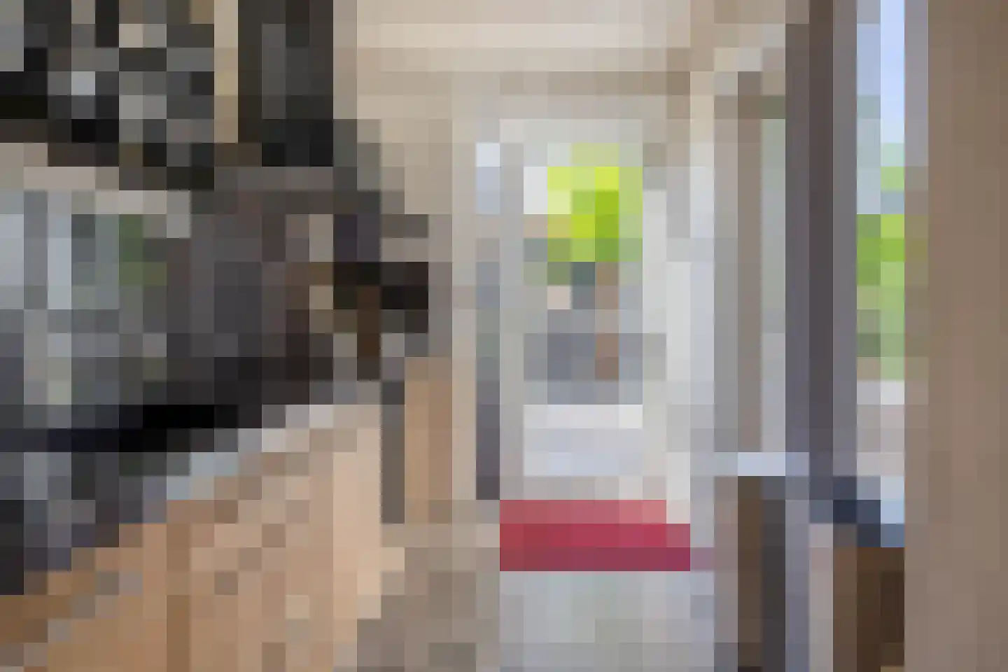 Julianastraat 1 a Langerak thumbnail 19