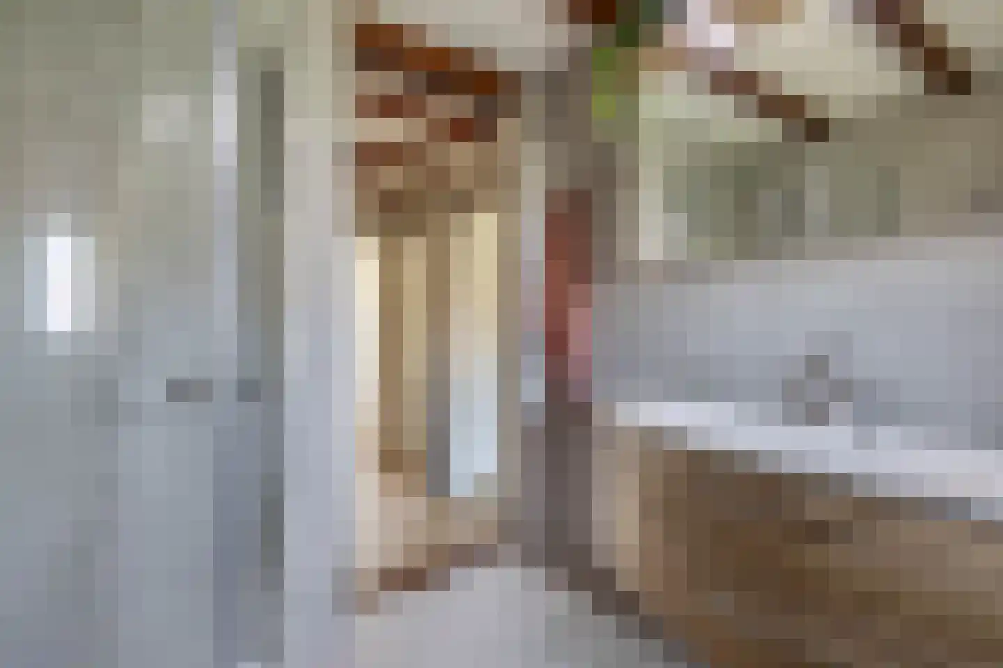 Julianastraat 1 a Langerak thumbnail 32