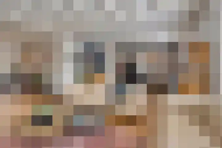Julianastraat 1 Berghem thumbnail 12