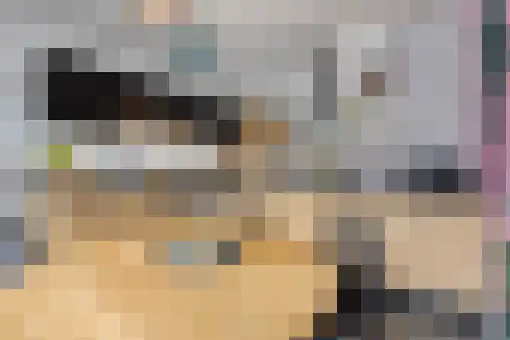 Julianastraat 1 Berghem thumbnail 18