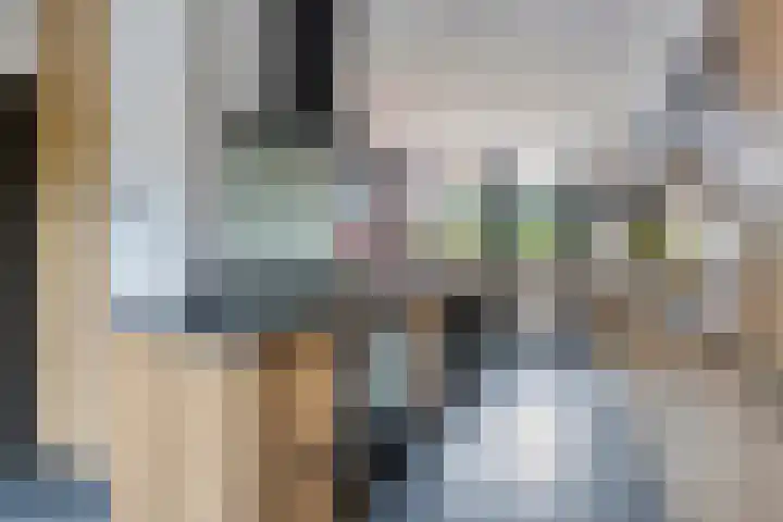 Julianastraat 1 Berghem thumbnail 19