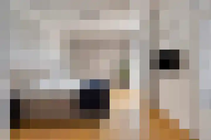 Julianastraat 1 Berghem thumbnail 20