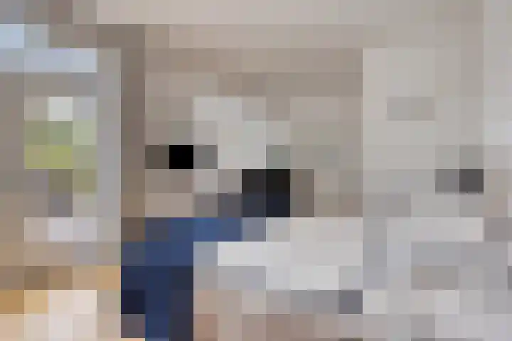 Julianastraat 1 Berghem thumbnail 21
