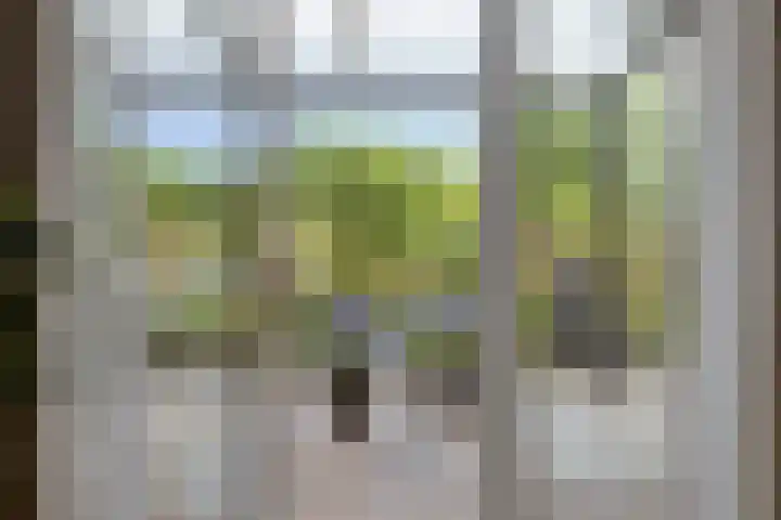 Julianastraat 1 Berghem thumbnail 22