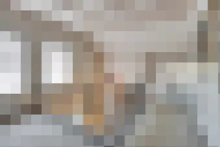 Julianastraat 1 Berghem thumbnail 26