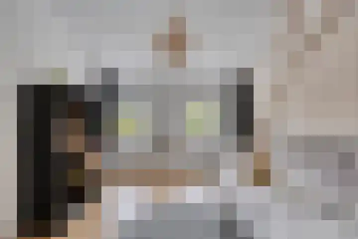 Julianastraat 1 Berghem thumbnail 29