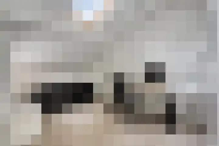 Julianastraat 1 Berghem thumbnail 30