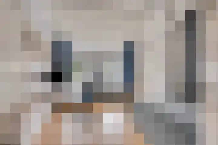 Julianastraat 1 Berghem thumbnail 31