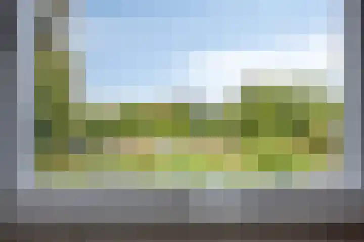 Julianastraat 1 Berghem thumbnail 34