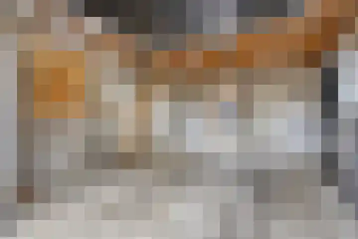 Julianastraat 1 Berghem thumbnail 37