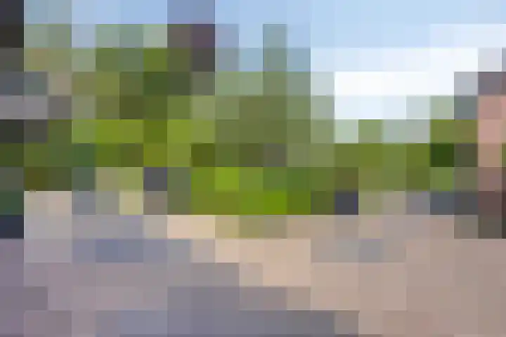 Julianastraat 1 Berghem thumbnail 43