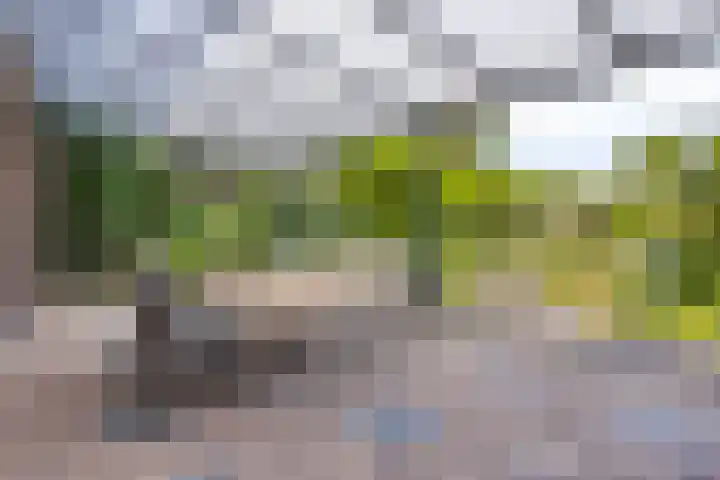Julianastraat 1 Berghem thumbnail 44