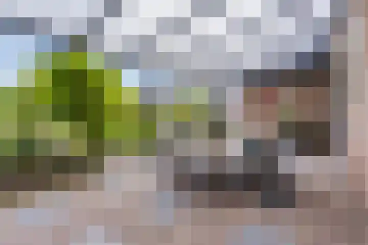 Julianastraat 1 Berghem thumbnail 45