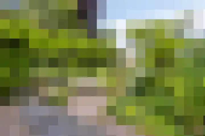Julianastraat 1 Berghem thumbnail 46
