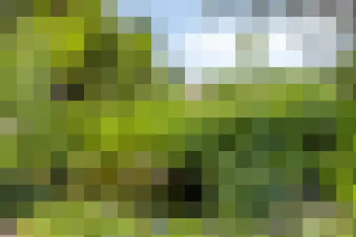 Julianastraat 1 Berghem thumbnail 47