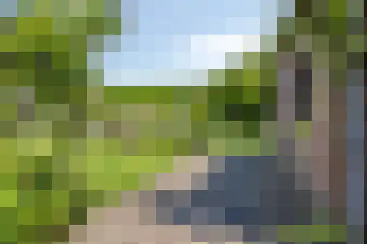 Julianastraat 1 Berghem thumbnail 48