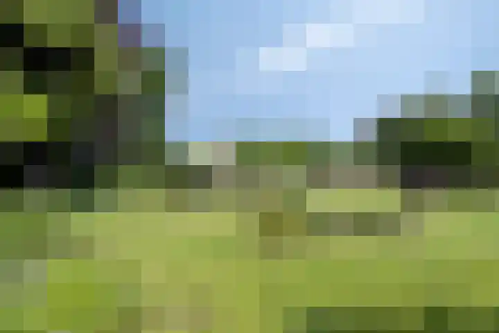 Julianastraat 1 Berghem thumbnail 49