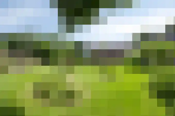 Julianastraat 1 Berghem thumbnail 50