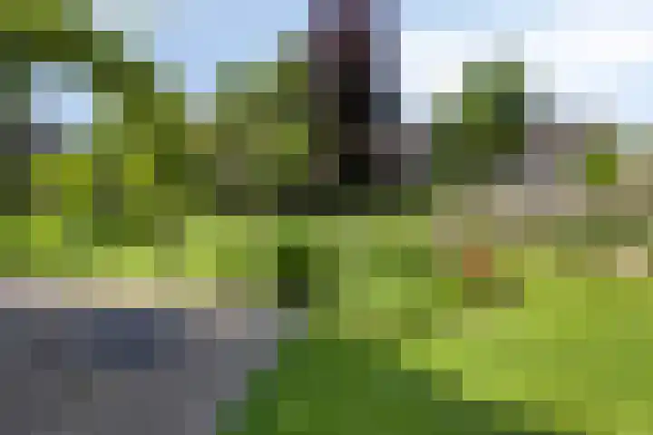 Julianastraat 1 Berghem thumbnail 52