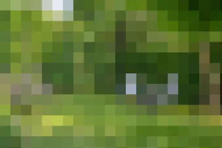 Julianastraat 1 Berghem thumbnail 53