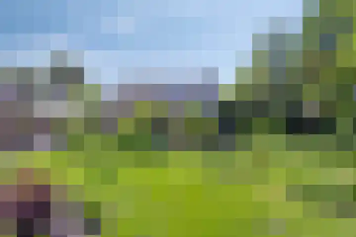 Julianastraat 1 Berghem thumbnail 57