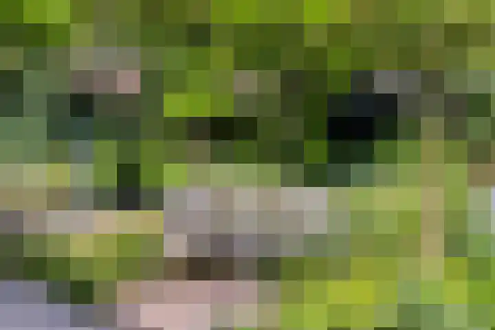Julianastraat 1 Berghem thumbnail 58