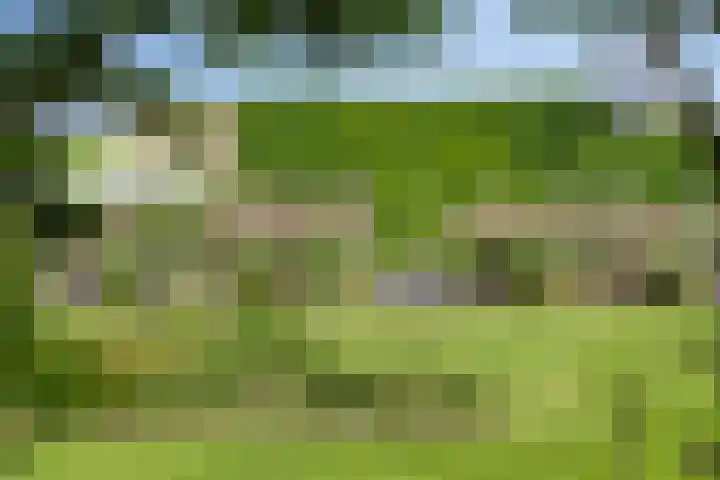 Julianastraat 1 Berghem thumbnail 59