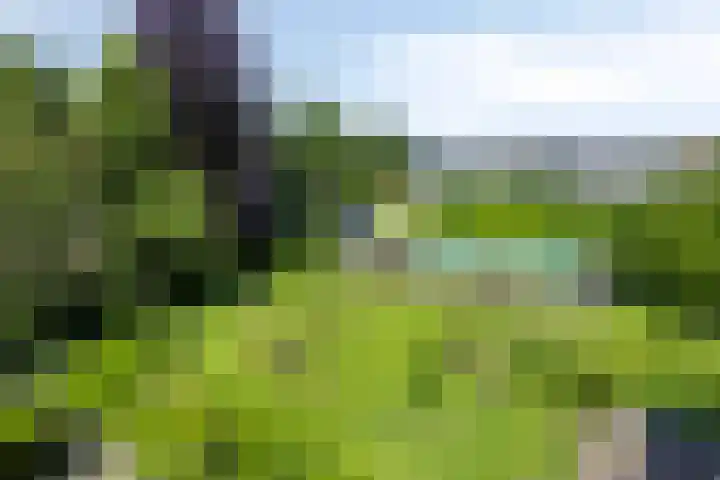 Julianastraat 1 Berghem thumbnail 64