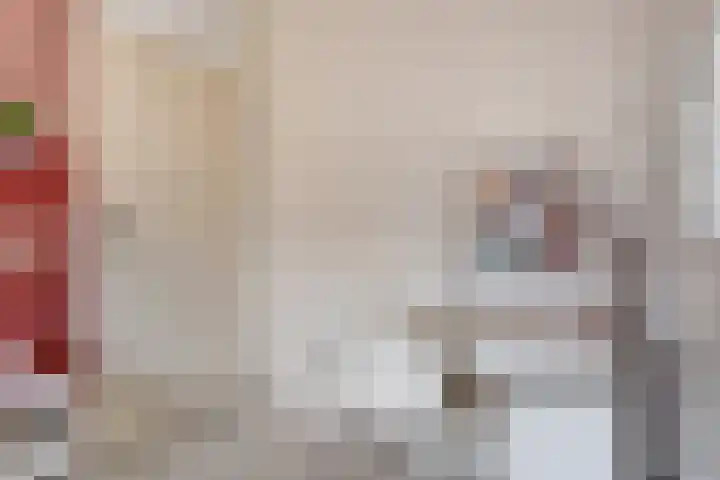 Julianastraat 1 f Sas van Gent thumbnail 15