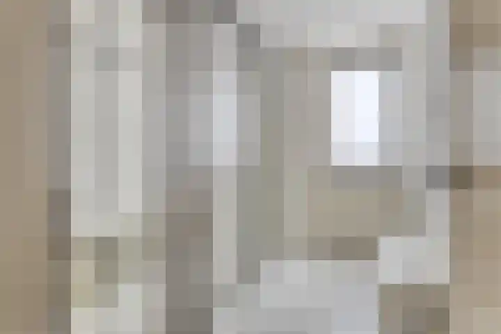 Julianastraat 1 f Sas van Gent thumbnail 16