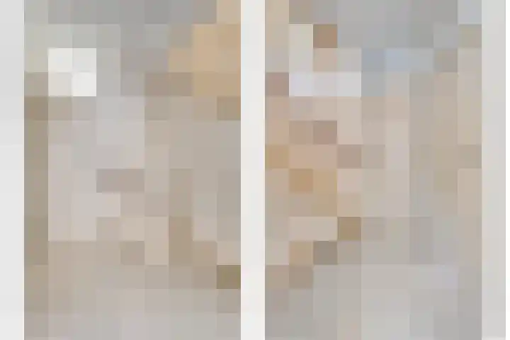 Julianastraat 1 f Sas van Gent thumbnail 17