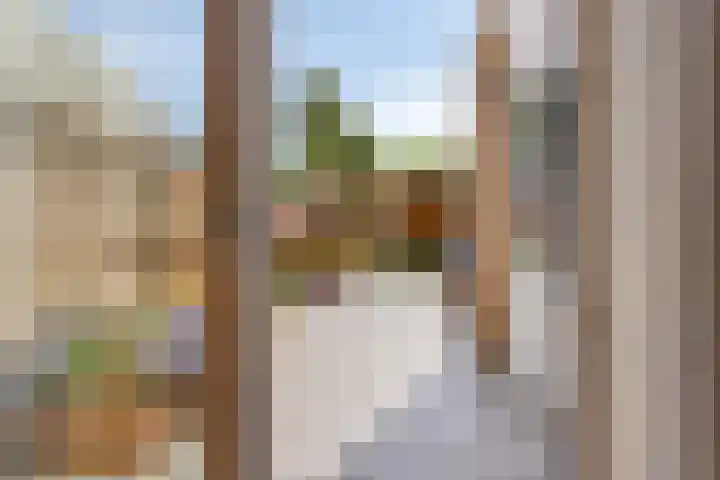 Julianastraat 1 f Sas van Gent thumbnail 20