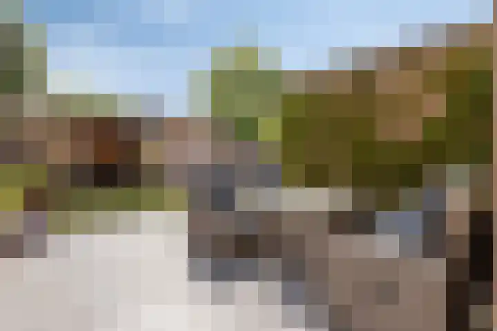Julianastraat 1 f Sas van Gent thumbnail 21