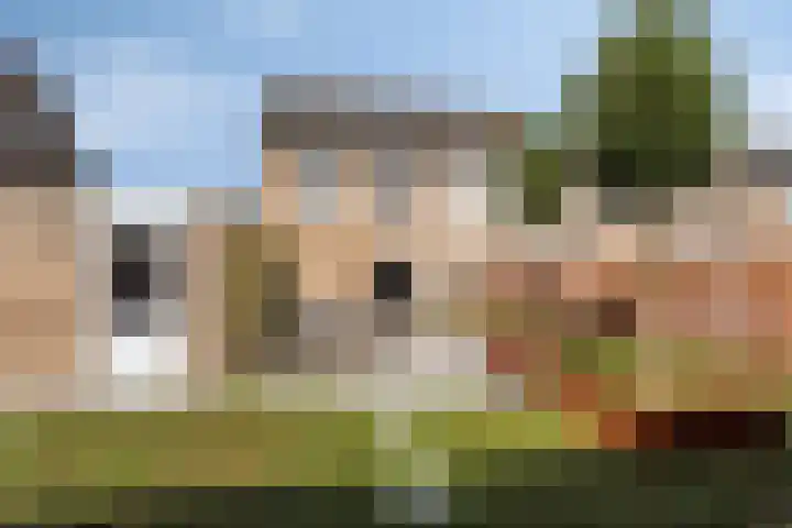 Julianastraat 1 f Sas van Gent thumbnail 24