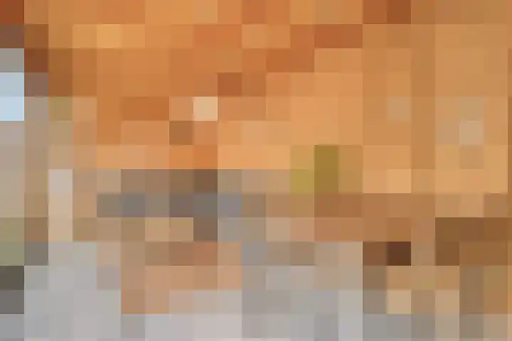 Julianastraat 1 f Sas van Gent thumbnail 25