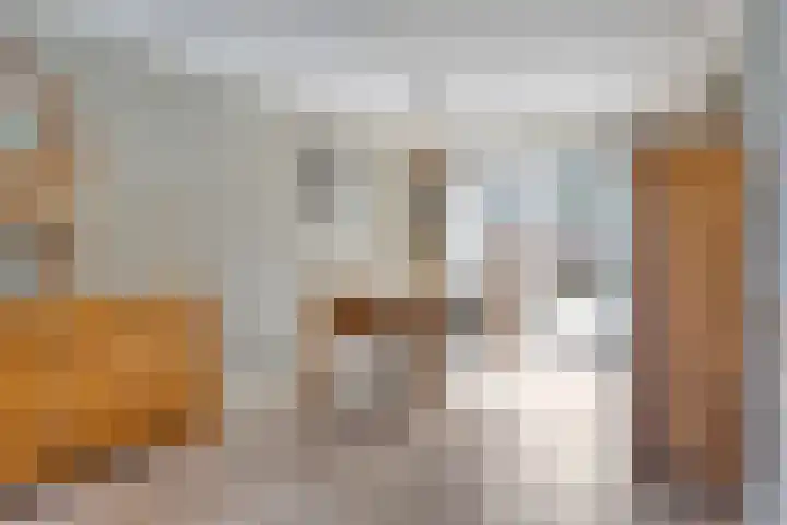 Julianastraat 1 f Sas van Gent thumbnail 4
