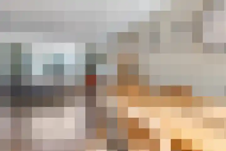 Julianastraat 1 f Sas van Gent thumbnail 5