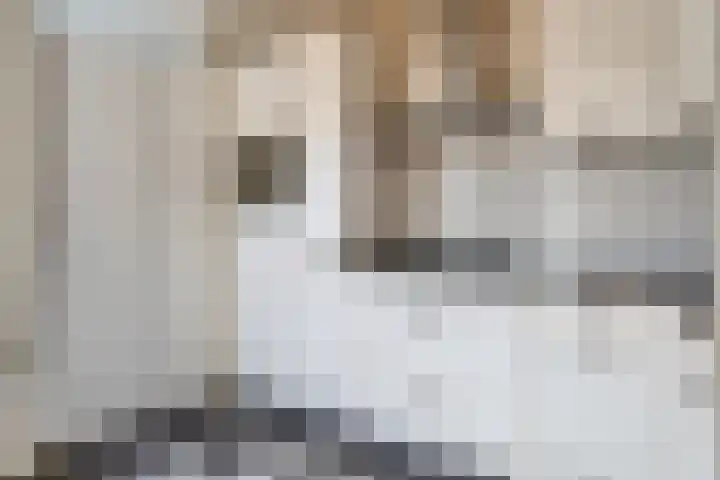 Julianastraat 1 f Sas van Gent thumbnail 7