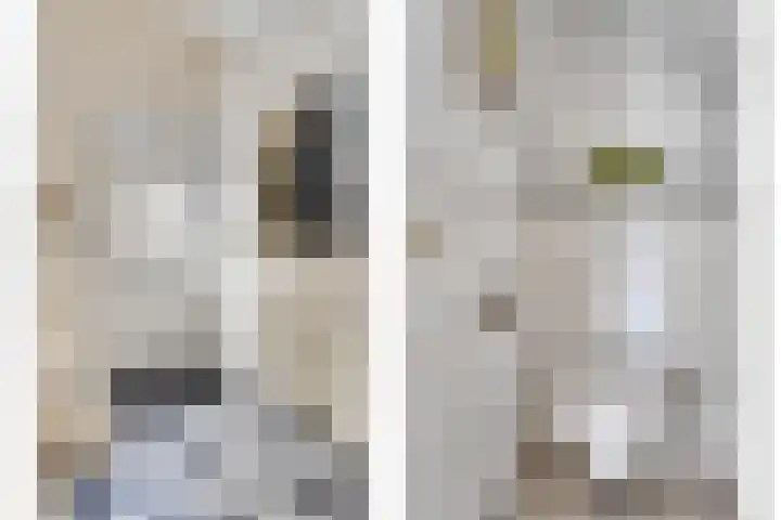 Julianastraat 1 f Sas van Gent thumbnail 9